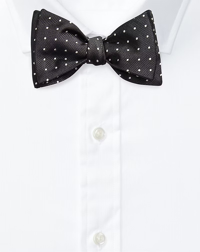 Polka-Dot Silk Repp Bow Tie